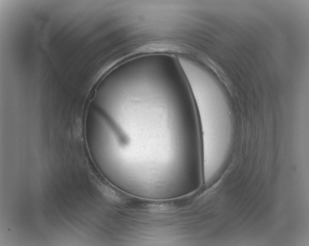 X0000076031465200609220840