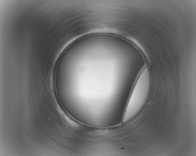 X0000076031468200609220840