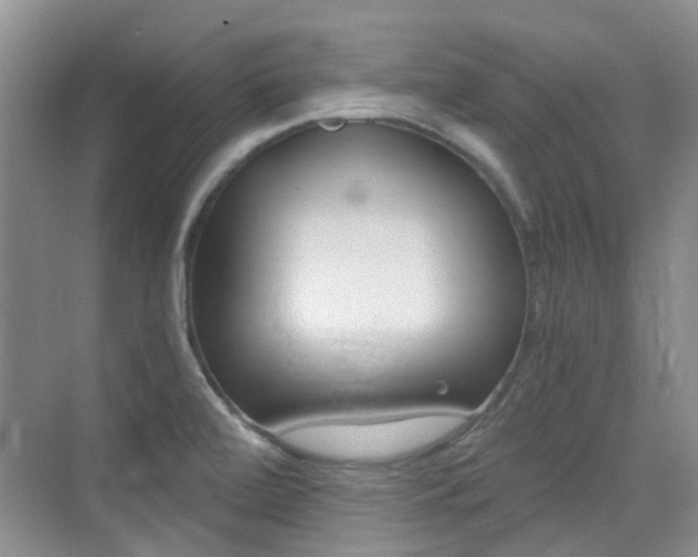 X0000076031472200609220840