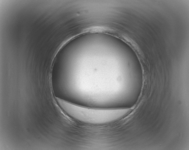 X0000076031473200609220840