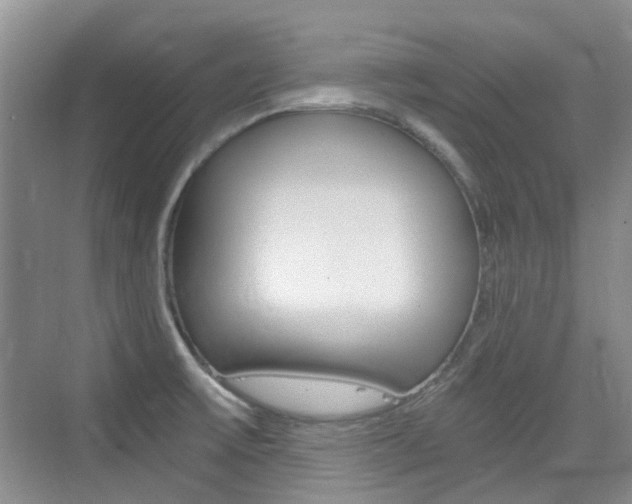 X0000076031475200609220840