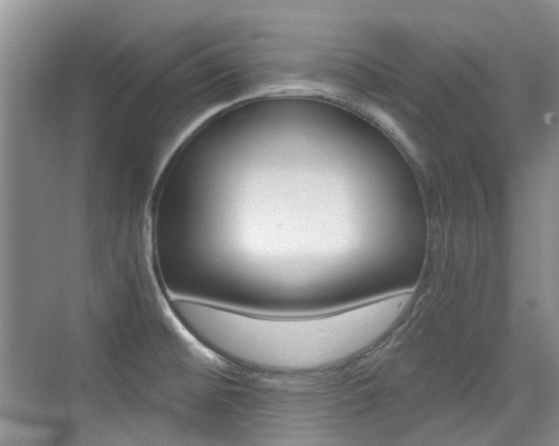 X0000076031476200609220840
