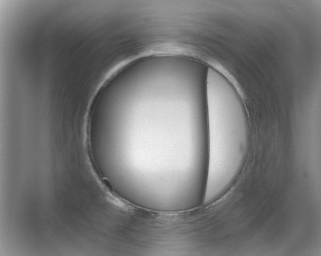 X0000076031477200609220840
