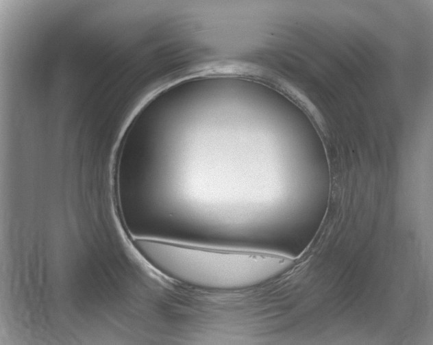 X0000076031483200609220840