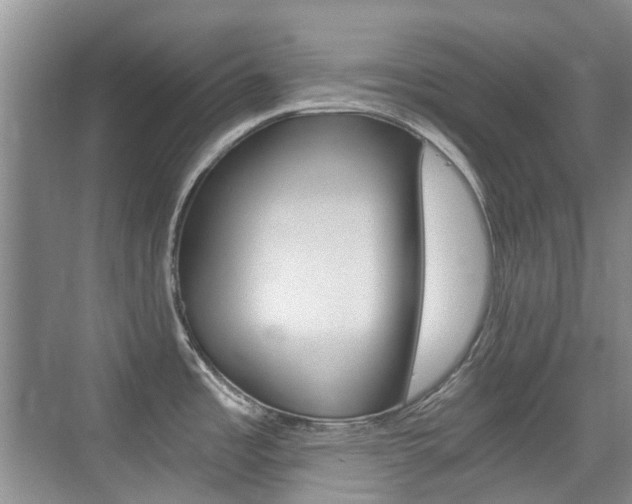 X0000076031485200609220840