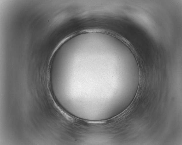 X0000076031487200609220840