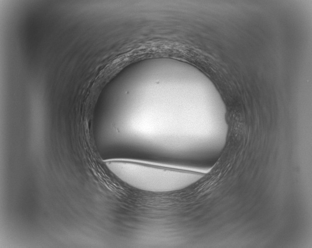 X0000076031489200609220839