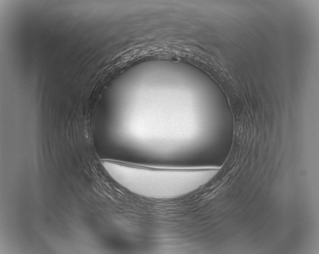 X0000076031490200609220839