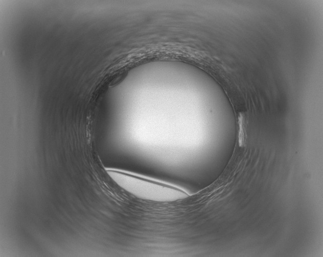X0000076031491200609220839