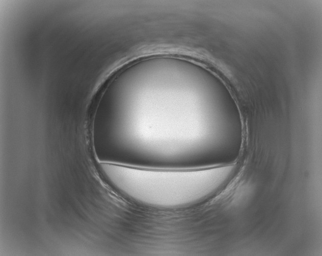 X0000076031501200609220839