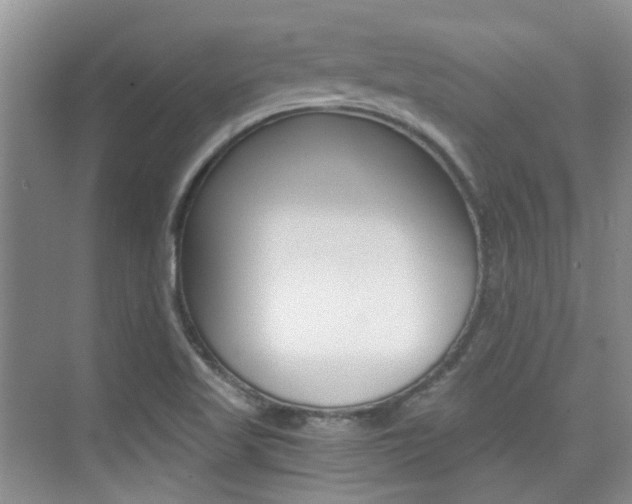 X0000076031509200609220839