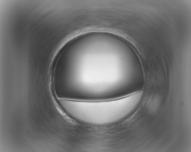 X0000076031511200609220839