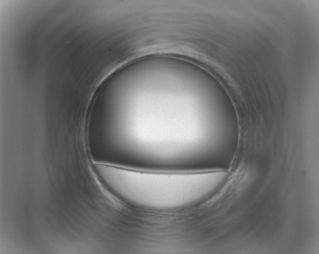 X0000076031513200609220839