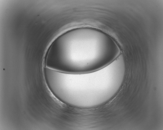 X0000076031516200609220839