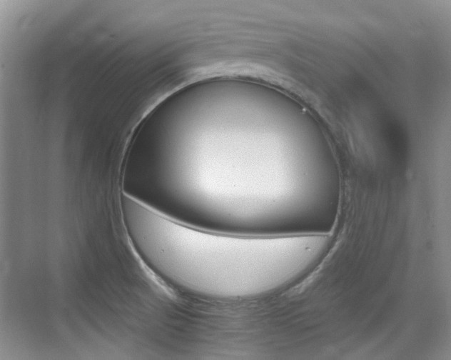 X0000076031521200609220839