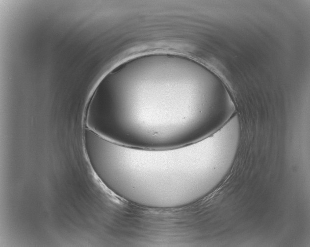 X0000076031532200609220840