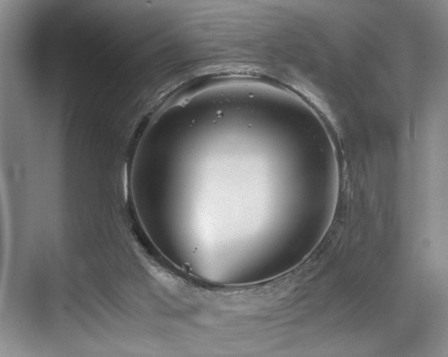 X0000076030013200609221105