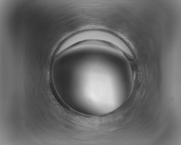X0000076030015200609221105