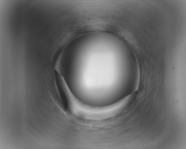 X0000076030021200609221105
