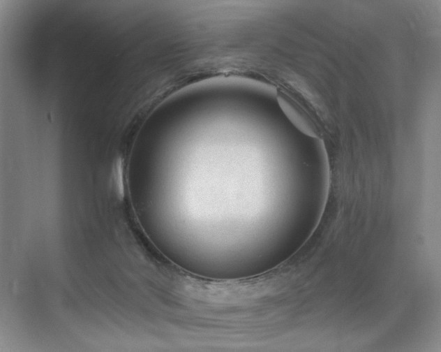 X0000076030022200609221105