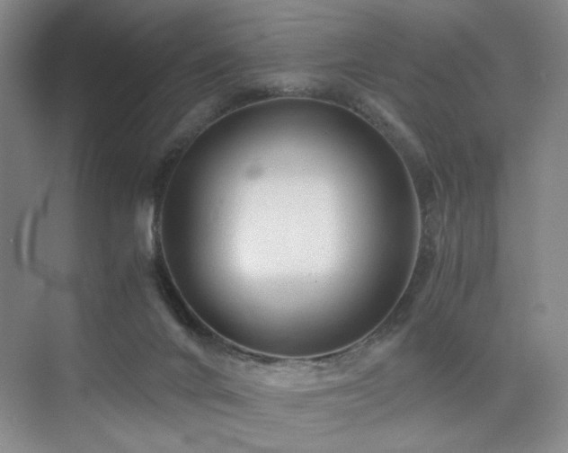 X0000076030024200609221105