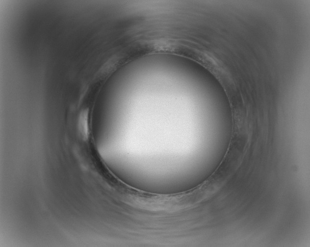 X0000076030028200609221105