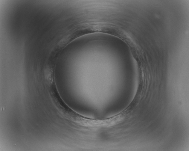 X0000076030031200609221105