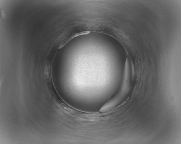 X0000076030033200609221105