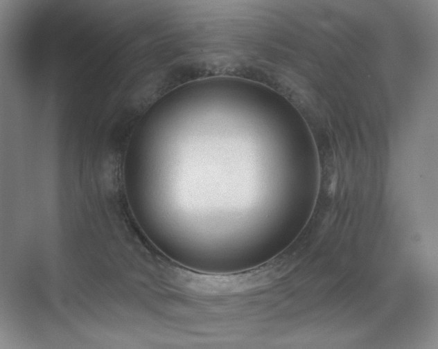 X0000076030034200609221105