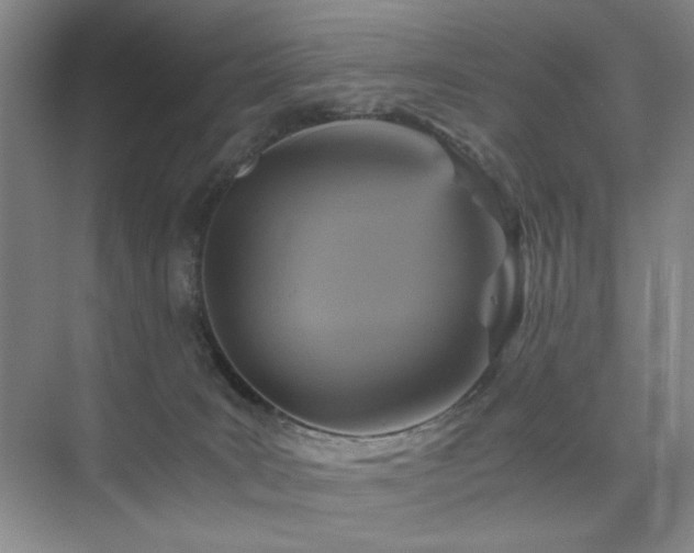 X0000076030035200609221105