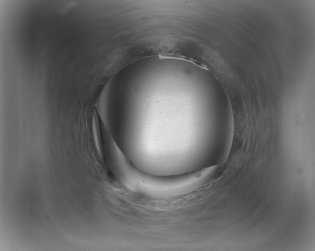 X0000076030037200609221105