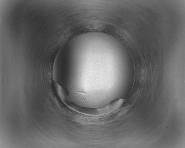 X0000076030040200609221105