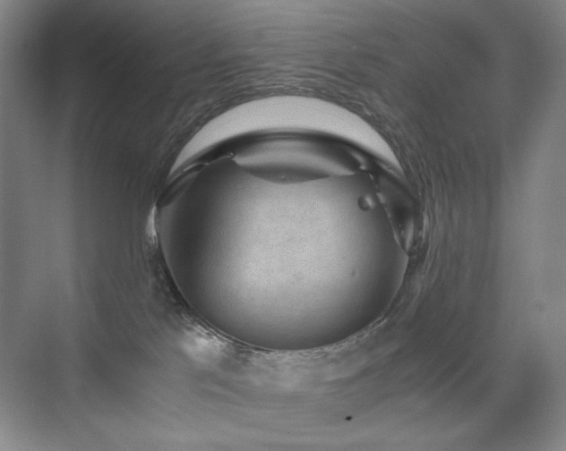 X0000076030041200609221105