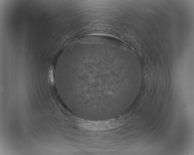 X0000076030042200609221105