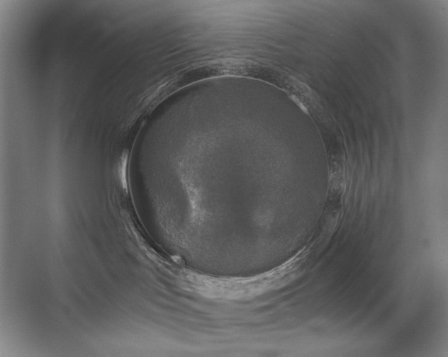 X0000076030047200609221105