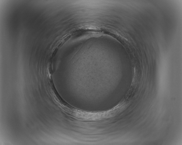 X0000076030048200609221105