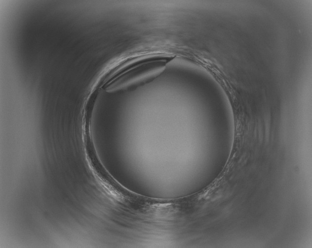 X0000076030054200609221104