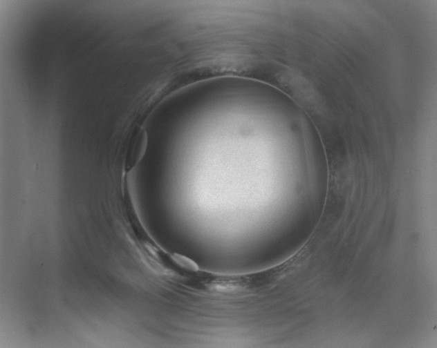 X0000076030070200609221104