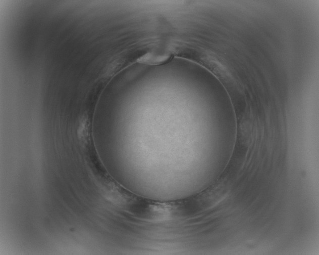 X0000076030079200609221105
