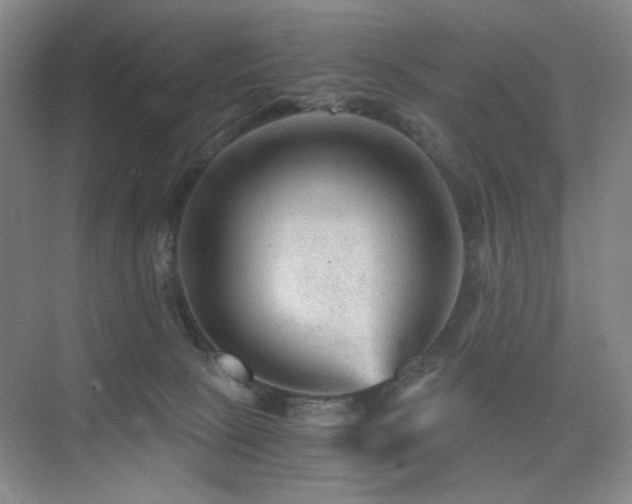 X0000076030081200609221105