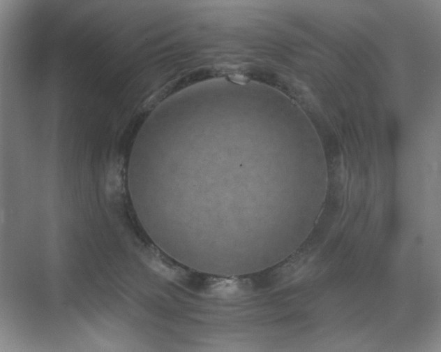 X0000076030083200609221105