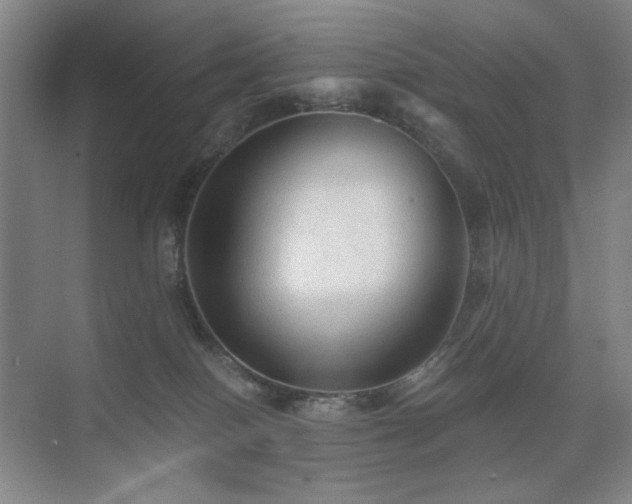 X0000076030086200609221105