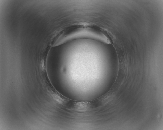X0000076030089200609221105