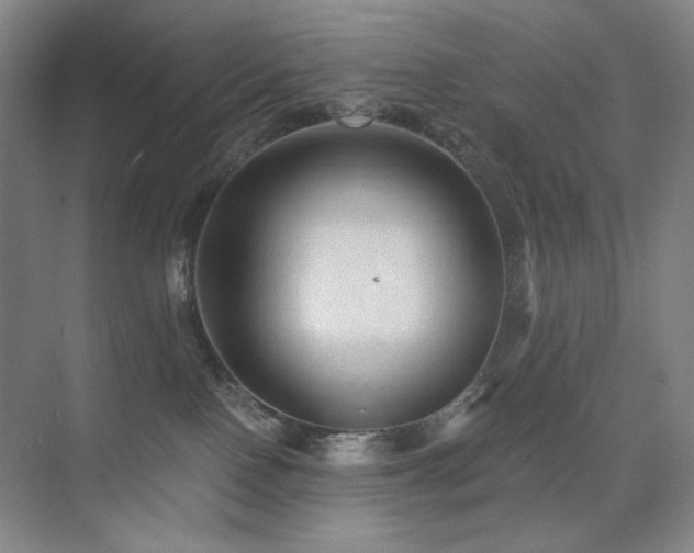 X0000076030090200609221105