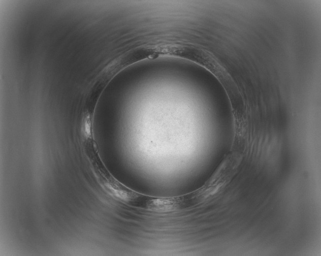 X0000076030095200609221105