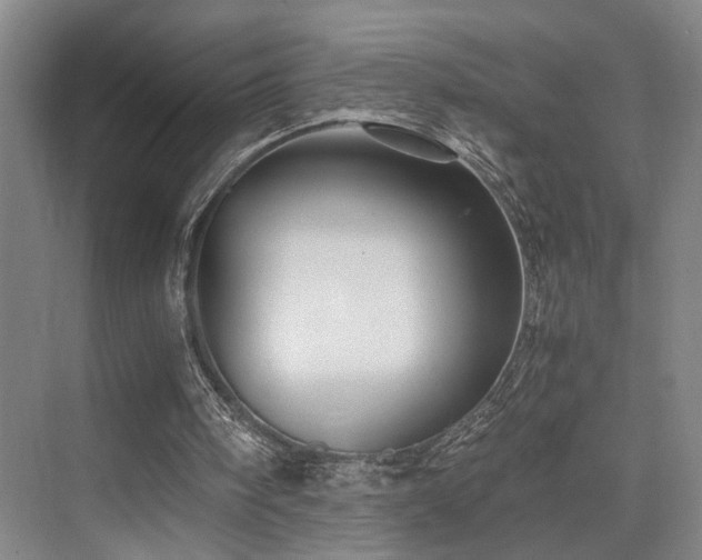X0000076030098200609221104