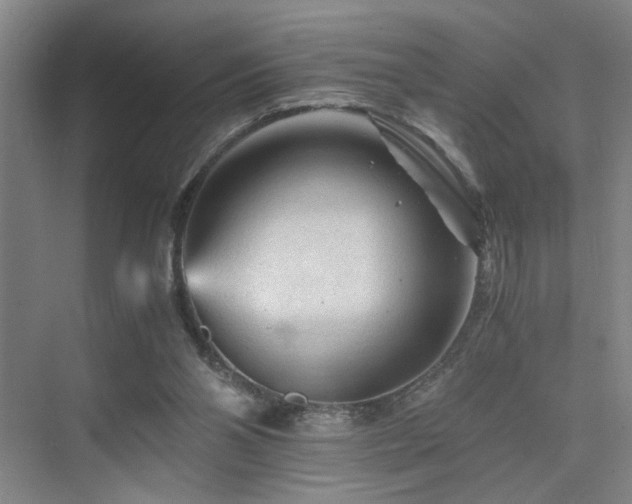 X0000076030110200609221104