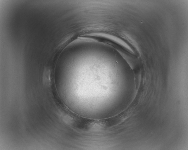 X0000076030115200609221104
