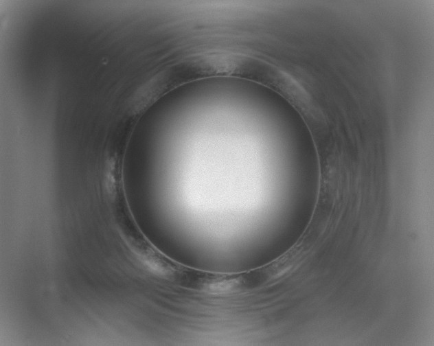 X0000076030122200609221104