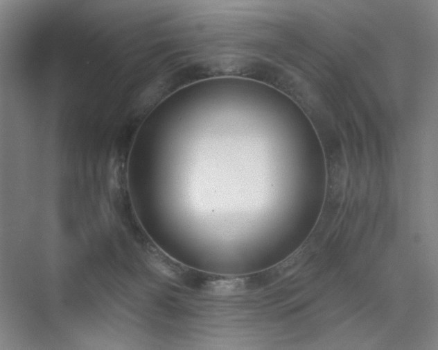 X0000076030126200609221104